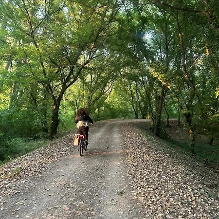 Δωμάτια σε οικογενειακή κατοικία Cappello Vendeghaz *